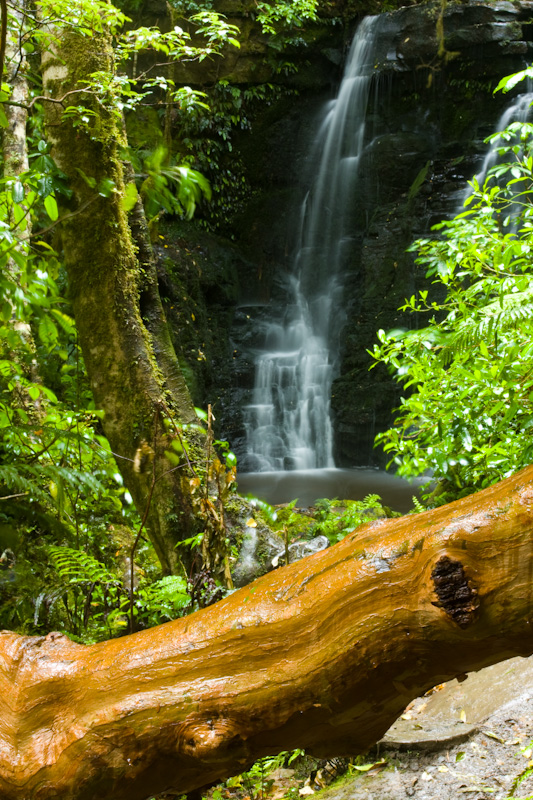 Matai Falls